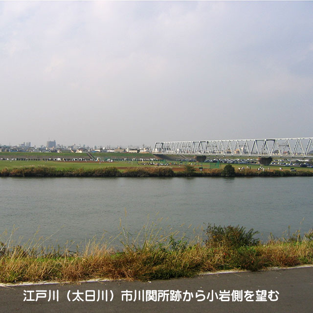太井川(現在の江戸川)での渡河地点はどこか?