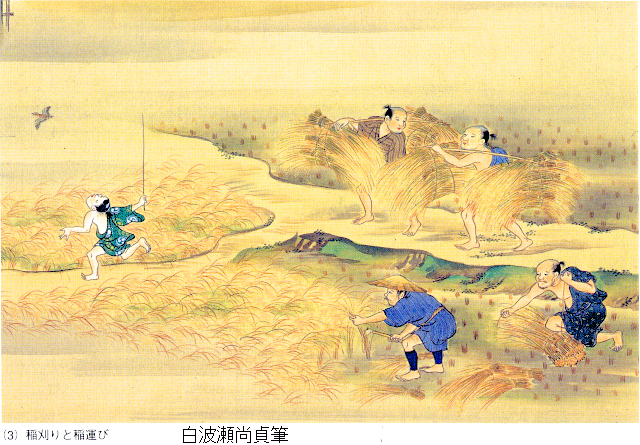 伊賀国在庁官人解に見る東大寺荘園における徴税