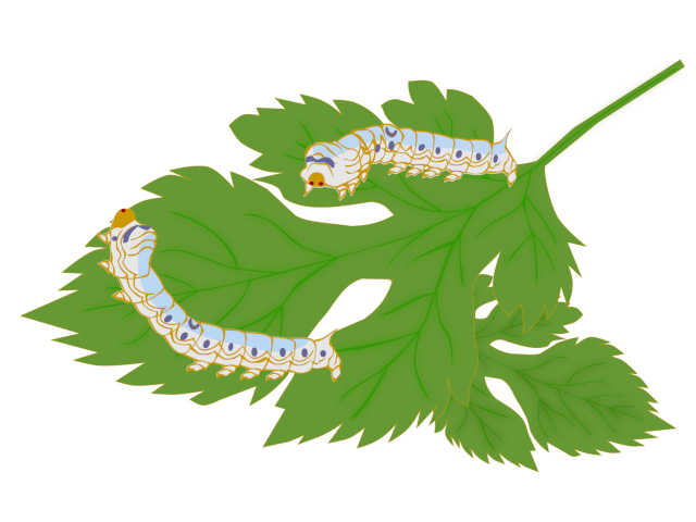 平安時代における通貨としての絹について